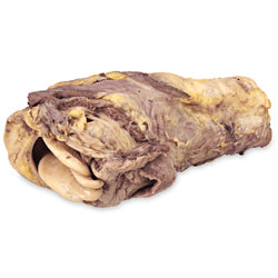 ENASCO science grade preserved pig trachea